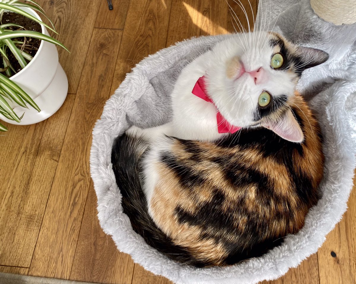 🌺Franckie et Billie 🌺 tweet media