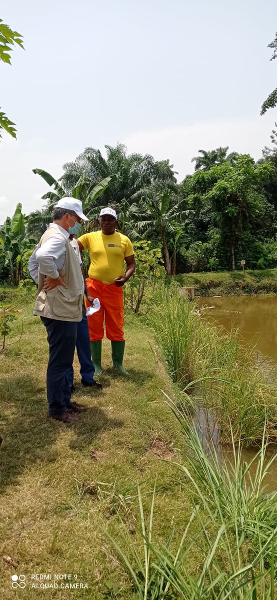 UeCongoBrazza's tweet photo. L'Amb #GiacomoDurazzo poursuit son 1er séjour dans la Bouenza. Heureux de rencontrer des femmes et des hommes qui travaillent dur pour pérenniser leurs activités. Grâce au financement 🇪🇺, le @PamCongo appuie les transformateurs de manioc et #APDRA le dvlpt de la pisciculture. https://t.co/H3cnWa5xJr