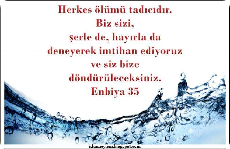 Ensr123's tweet photo. #Trabzonspor #trendyol #trt2filmleri #TRT1 #Tarkan #TRTSporDijital #trtwt #tslmyt https://t.co/rbrOLqpPgs
