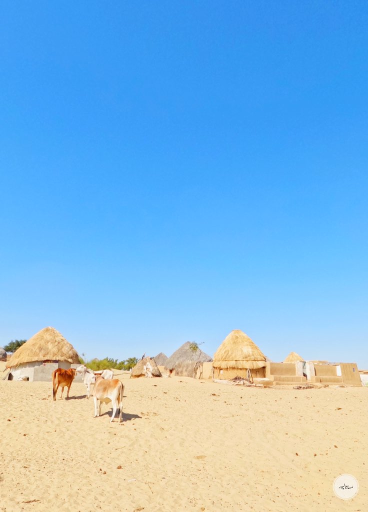 MisaTalpur's tweet photo. Jinhar is a last village near Achro Thar the white Desert . People are welcoming , hospitable and down to earth . I really enjoyed my time with locals at this village .
You will experience some Rajihstani culture here .#sindhtourism #stdc #misatalpur #sindhiculture #Sindh https://t.co/gdCDkYE3tt