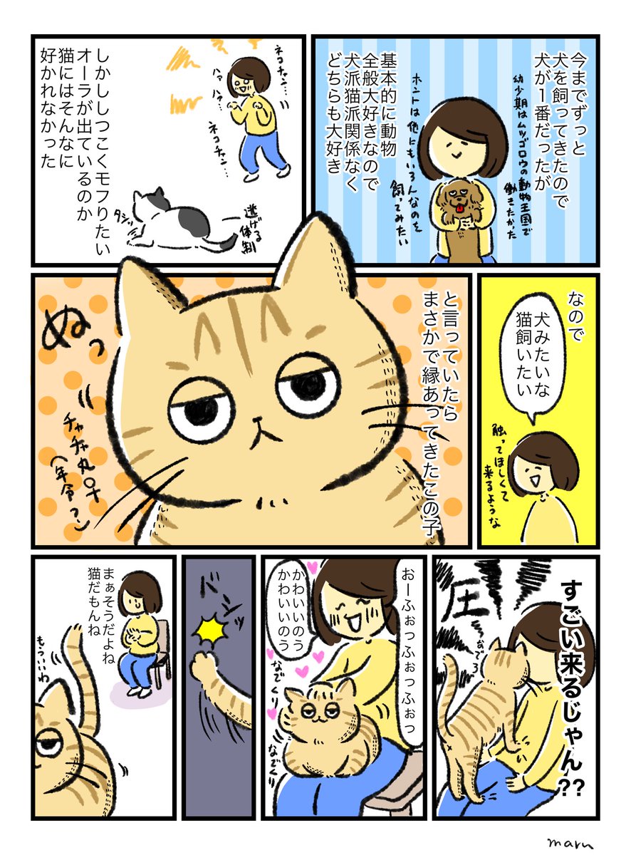 ネコ漫画を描いてみたくなったので…
今後もたまに描くかも
初めてのネコサマなので新鮮な事ばかりです 