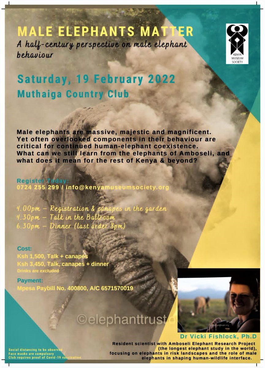 MuseumSociety's tweet photo. Male Elephants Matter - Talk by Dr Vicki Fishlock - Sat, 19 Feb 2022, 4pm, Muthaiga Country Club - https://t.co/D2BLXo18ow
RSVP Today: 0724 255 or info@kenyamuseumsociety.org https://t.co/lEOg1PBq9c