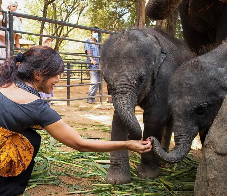 #Sajjana &amp; #Disa trying out fruits 🍉 #lka