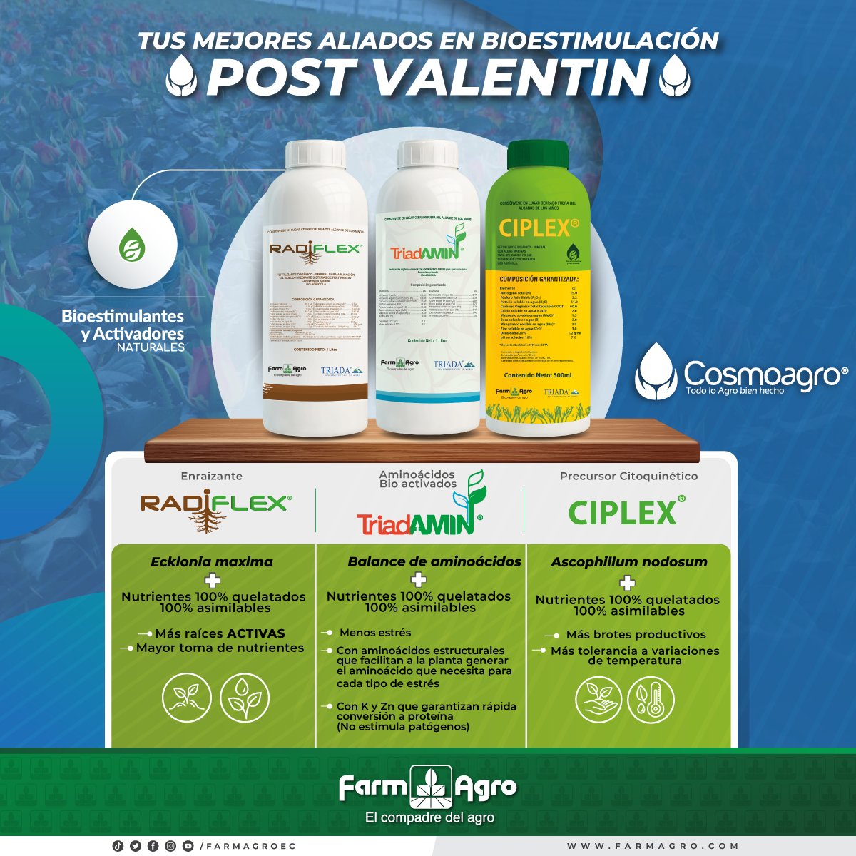 FarmagroEc's tweet photo. ¡Después de un gran sacrificio viene la recompensa!
Tenemos los mejores productos para la recuperación de tu cultivo después de la etapa de #SanValentin.
Bioestimulantes @CosmoagroTriada 🌿🌹
#Farmagro #ElCompadreDelAgro https://t.co/e5HuSTvfFu