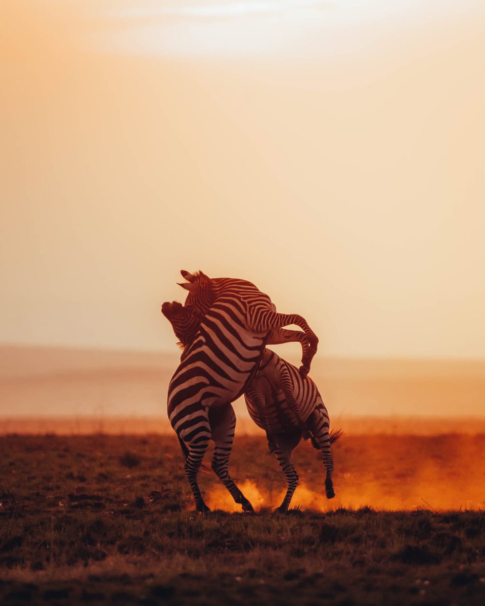 kenyapics's tweet image. Just the two of us 😍