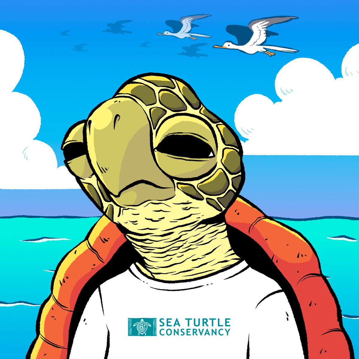 We have great news for the Caeruleum community!

We are proud to announce a new partnership with  <a href="/conserveturtles/">SeaTurtleConservancy</a> 👏

Together we are going to help conserve the marine ecosystem. 🌊🦑🐳🦈🐟🐠🌊

Welcome Sea Turtle Conservancy! 🌊🐢🐢🐢🌊

#NFT #NFTs #NFTCollection #NFTCommunity