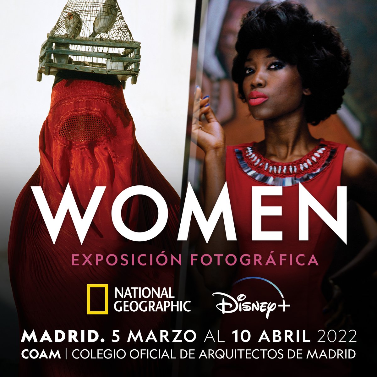 National Geographic tweet media
