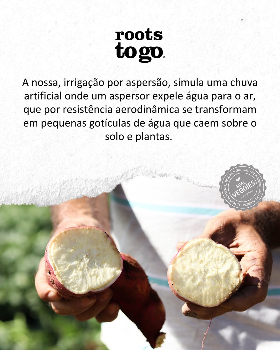 Você sabe porque esse processo acontece? 🚜🍠👩‍🌾