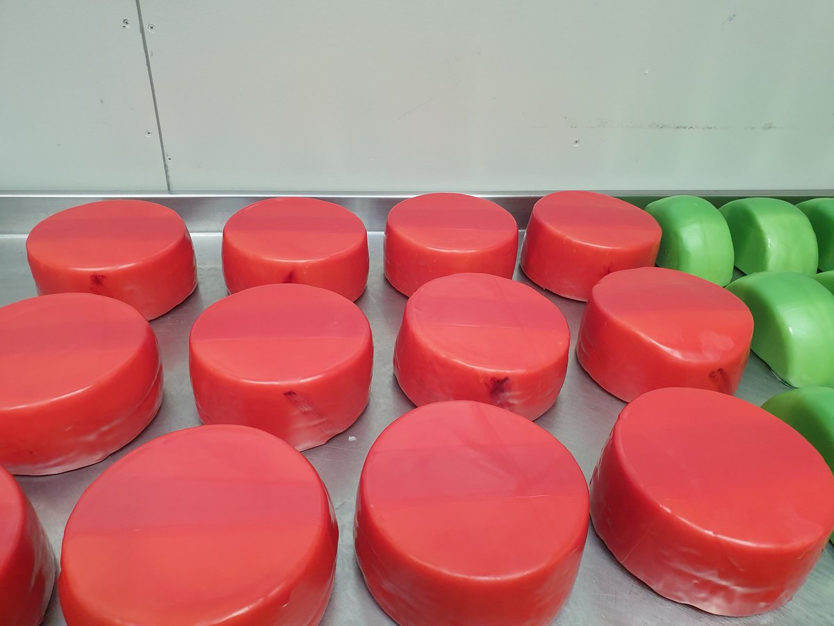 RibblesdaleC's tweet photo. Some #OriginalSheep in vibrant red sharing a table with some halves of #SmokedSuperiorGoat cheese, looking very pretty and making friends with their sheepy cousins. Already some dates arranged for the #Goatisans next ball which is apparently going to be a very glitzy affair. https://t.co/FblIji0YXR