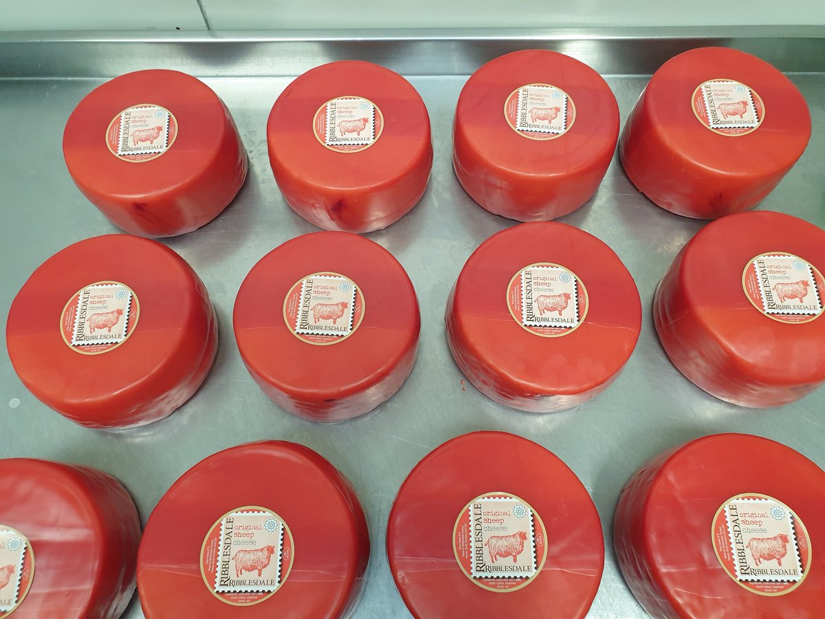 RibblesdaleC's tweet photo. Some #OriginalSheep in vibrant red sharing a table with some halves of #SmokedSuperiorGoat cheese, looking very pretty and making friends with their sheepy cousins. Already some dates arranged for the #Goatisans next ball which is apparently going to be a very glitzy affair. https://t.co/FblIji0YXR