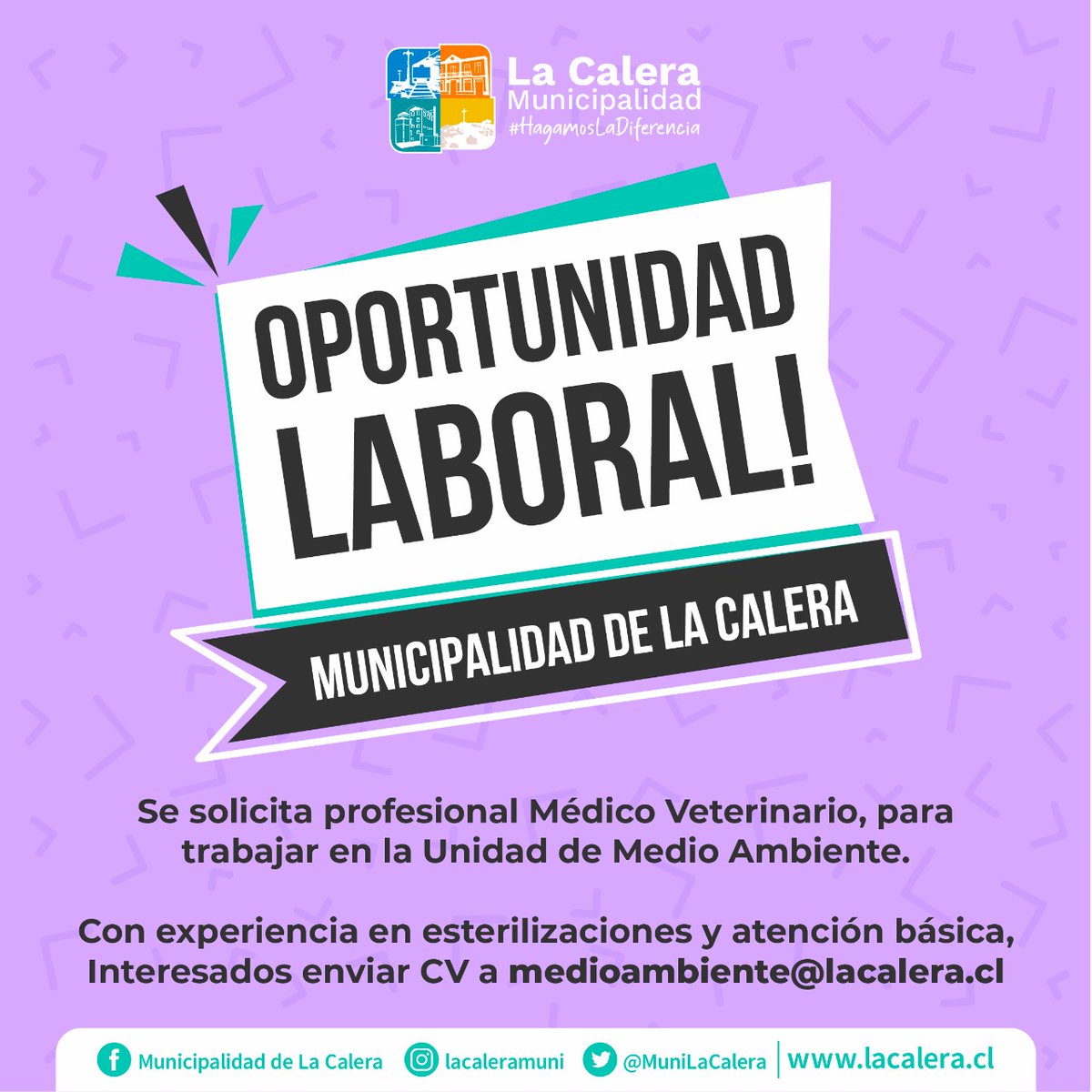 🟠 OPORTUNIDAD LABORAL 🟠

👩‍⚕️🧑‍⚕️ Desde la Oficina de Medio Ambiente se solicita profesional MÉDICO VETERINARIO con experiencia en esterilizaciones y atención básica.

📩 Interesados enviar CV a
medioambiente@lacalera.cl

#HagamosLaDiferencia 🧡
#LaCalera