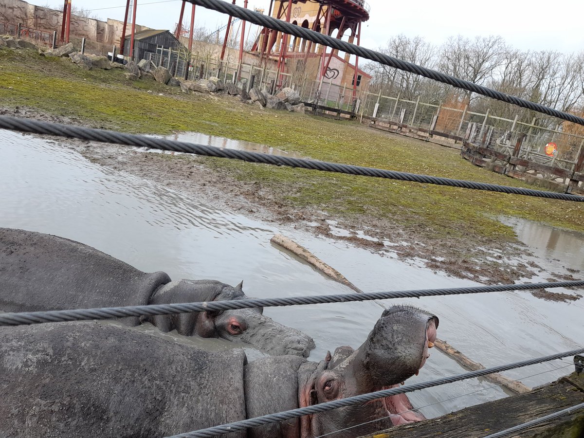6F experiencing feeding time at the zoo!