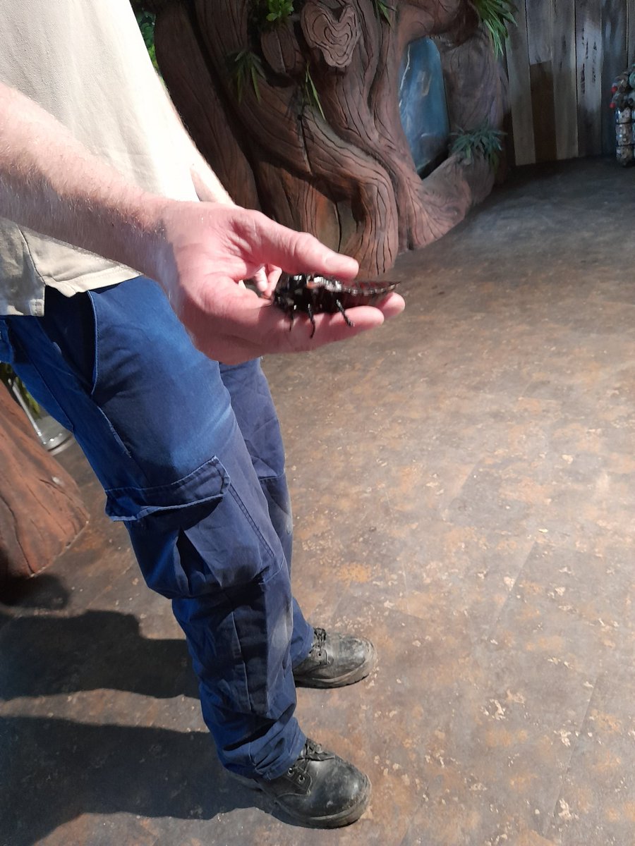 Flamingo Land ‐ Rainforest Workshop ‐ 6F