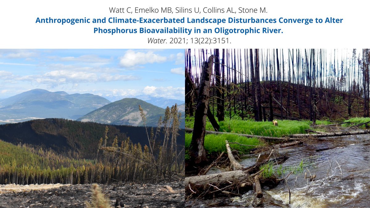forWaterNetwork's tweet photo. #forWaterNetwork researchers Emelko, Sillins, Stone, Collins &amp; Watt highlight how climate (wildfire) and human (sewage effluent, harvesting, agriculture) drivers can produce legacy effects on nutrients and increase the potential of algal blooms.

https://t.co/iiKIbrFTNg https://t.co/HvFgqMFFK0