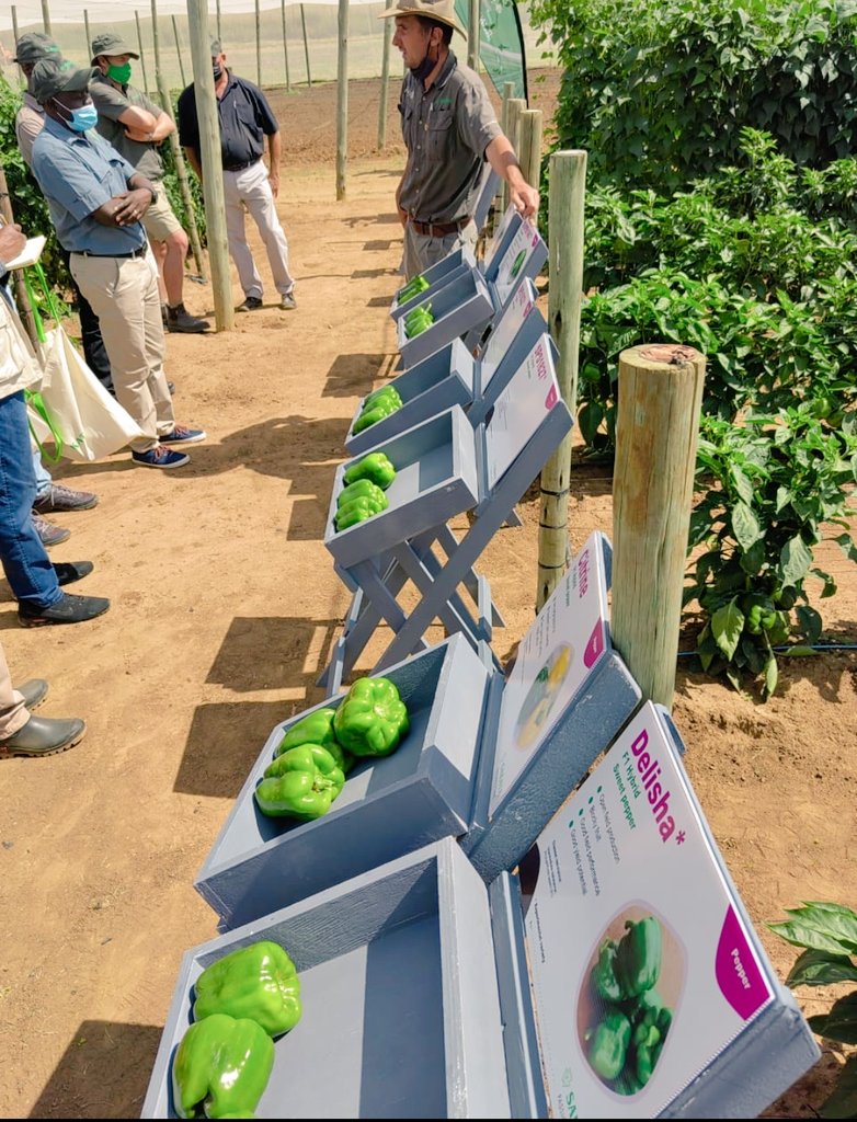 Litshani19's tweet photo. Agriculture is increasingly called upon to address a wide range of critical needs.@MarketJoburg @AgriWritersSA @FarmersWeeklySA https://t.co/Y6FmIl8UIs