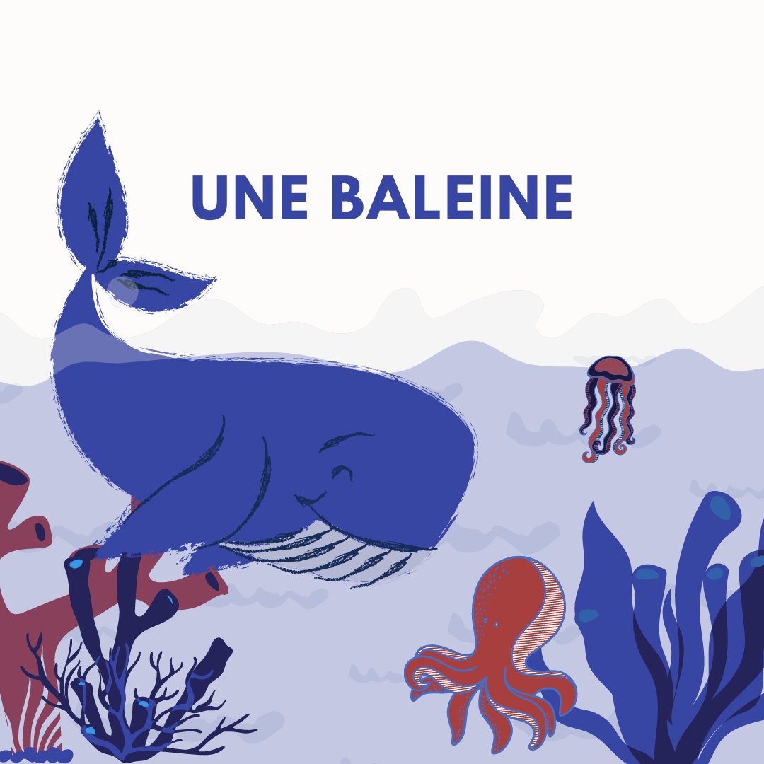 FrenchTutorGTA's tweet photo. Une baleine = A whale 🐋

March break is only a few weeks away! Can you guess what our march break camp theme will be 👀 
Hint: this post

#instafrench #languefranaise #frenchprogram #frenchlearning #practicefrench #studyfrench https://t.co/55pRCzm6HQ