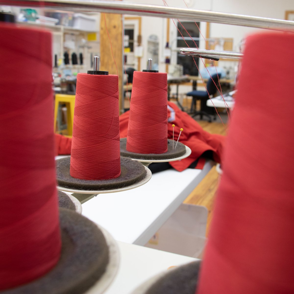 Round and round it goes...Where the thread stops, nobody knows! 🧵
#WintergreenWednesday