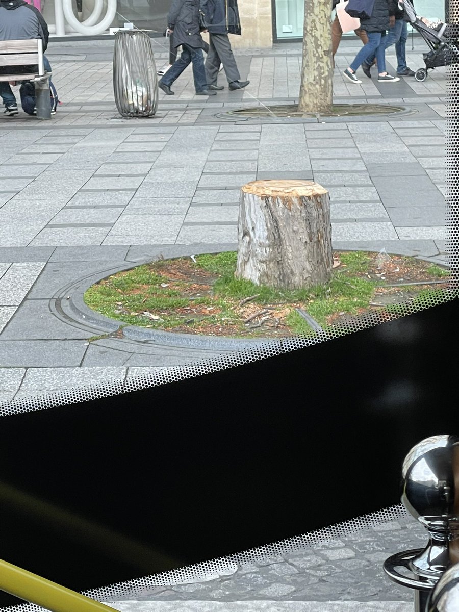 Goldwing771's tweet photo. L’avenue des Champs Elysées :
(était) La plus belle avenue du monde. 
Merci Anne
#sacageparis https://t.co/Cw7o2ELD1i