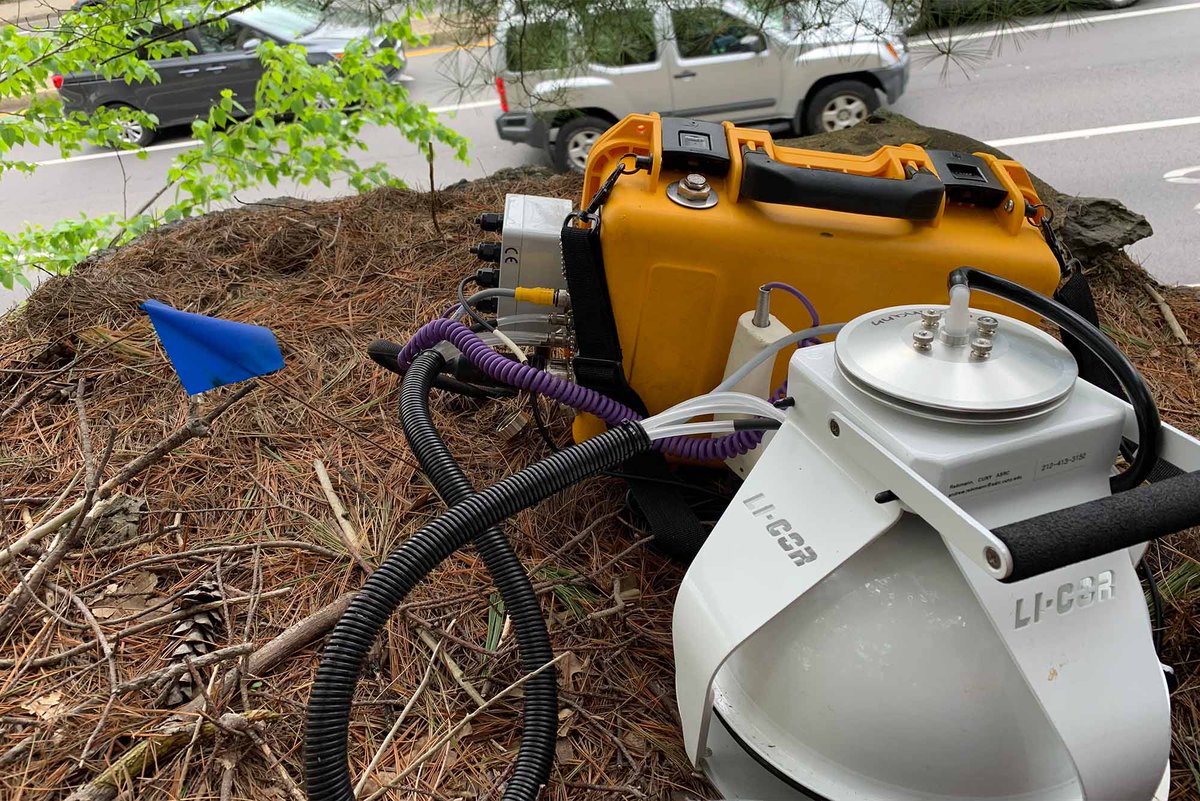 BU Experts (@buexperts) on Twitter photo Are trees & soils on the outermost edge of forests releasing & storing carbon at similar rates as forest interiors🌲? A study by <a href="/BUEarth/">Boston University, Earth & Environment</a>'s @lrhutyra & collaborators has uncovered key differences, challenging old ideas about the value of urban forests. ➡️ spr.ly/6002KTxle Are trees & soils on the outermost edge of forests releasing & storing carbon at similar rates as forest interiors🌲? A study by <a href="/BUEarth/">Boston University, Earth & Environment</a>'s @lrhutyra & collaborators has uncovered key differences, challenging old ideas about the value of urban forests. ➡️ spr.ly/6002KTxle