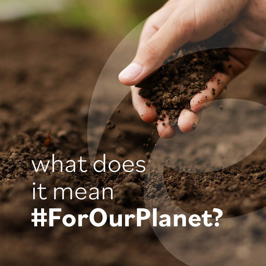 Coming soon, our new content series: #ForOurPlanet.

We are going to take you through the #sustainability efforts of our brands, why we are doing what we are doing, and why it is important for our #OnePlanet. Check our upcoming posts.

#OnePlanet #OnePeople #OnePurpose