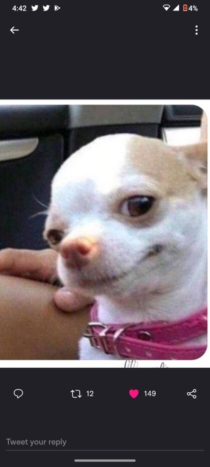 Watch IAMNICOLECASH's leaked NSFW photo on TwXstars