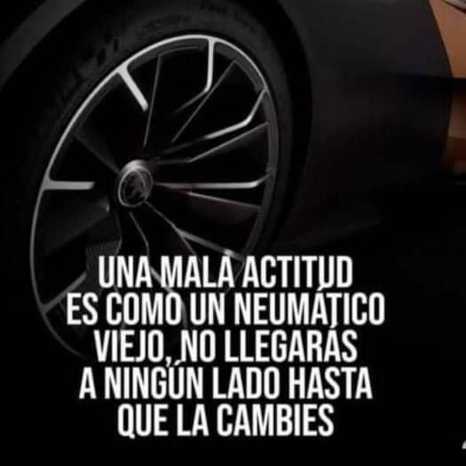belen_iniesta's tweet photo. #ConBuenaActitud Solo una cosa  convierte en imposible un sueño: el miedo a fracasar...Paulo Coelho https://t.co/kiQa4ArYVA
