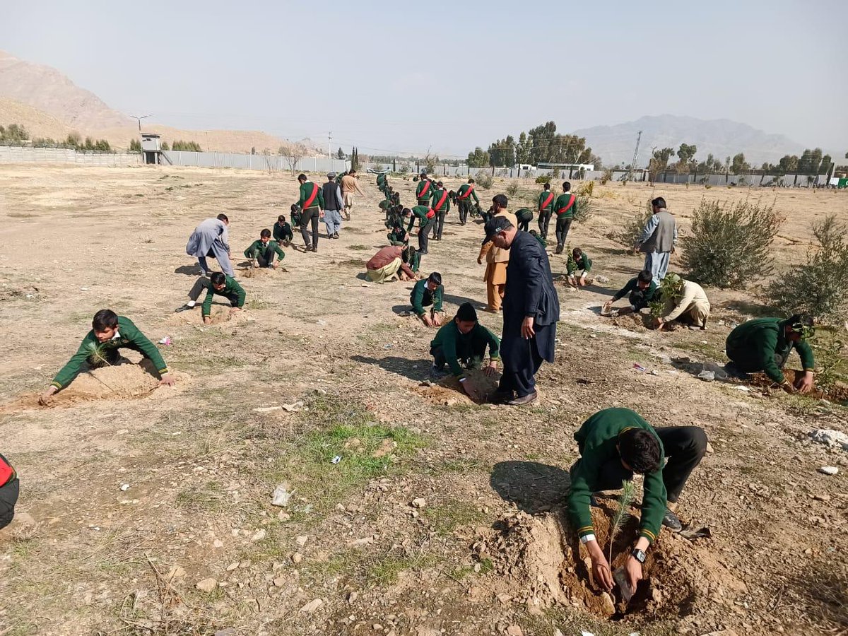 FEWDKPGovt's tweet image. Mohmand Model School Ghazi Baig taken part in  #SpringPlantation. Principal of the School distributed 1000 free plants among the students as well as urged the students to participate in the #Plant4Pakistan plantation drive and planted 220 plants in the School premises.
#KPForest