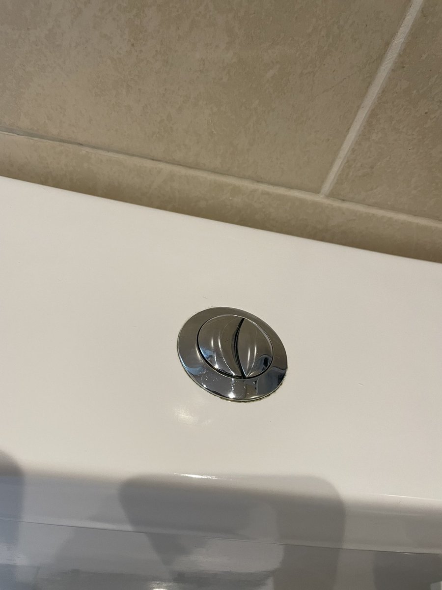 If you press both buttons at the same time, your toilet takes a screenshot