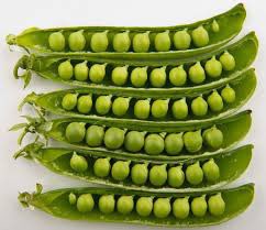 Did you know? Approx 9000 peas are eaten per person per year in the U.K. 
A cheap and tasty source of protein, fibre, vitamin C, iron, potassium and calcium. There is little nutritional difference between fresh or frozen so you can take your pick ☺️ #peasplease #givepeasachance