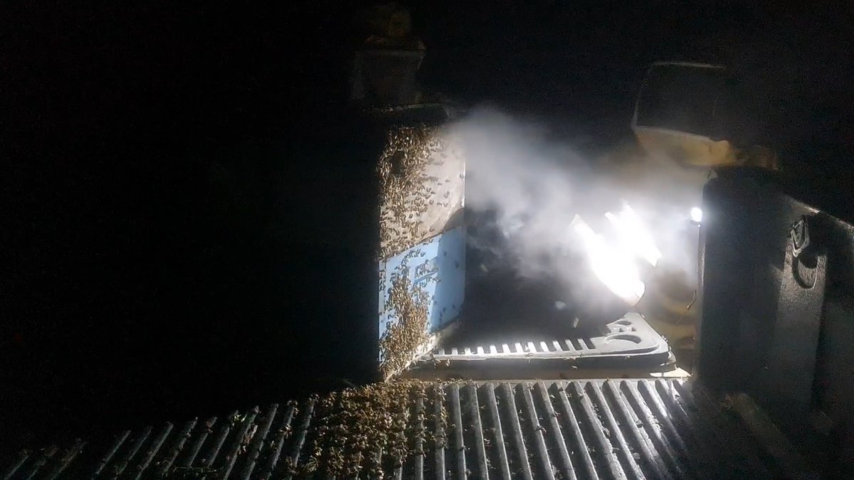nuevasesp's tweet photo. Last week, Telica volcano received thousands of new visitors – bees! Six hives were delivered, to the delight of the beneficiary families. Transporting beehives is a delicate task that needs to be done after dark, when the bees are calmer.
#Beekeeping #SustainableDevelopment https://t.co/YonDoSnRtX