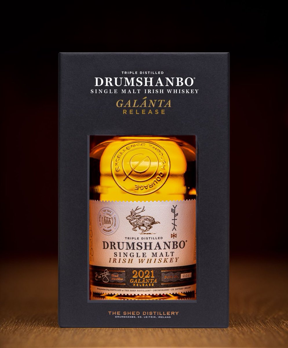 Patrick J Rigney tweet media