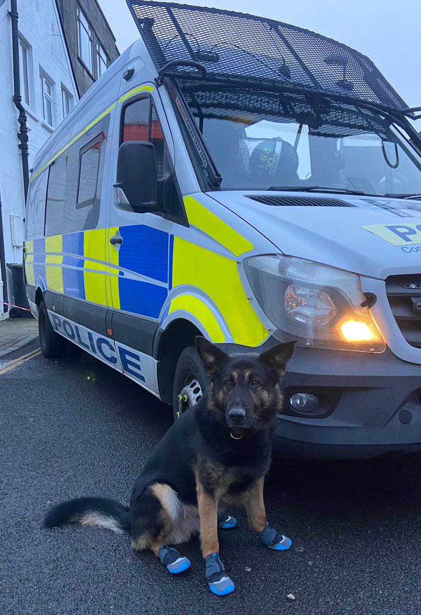 PoliceDogDorset's tweet photo. PD Tag and the #OD741 team had a long day yesterday supporting Western officers down in Weymouth. 

PD Darla and #OD728 team joined in later in the evening to support their crew mates.
Team work at its best with a multi agency response, ensuring a safe conclusion! 🐾

#FSD #GPD https://t.co/0KH1HrJKq0