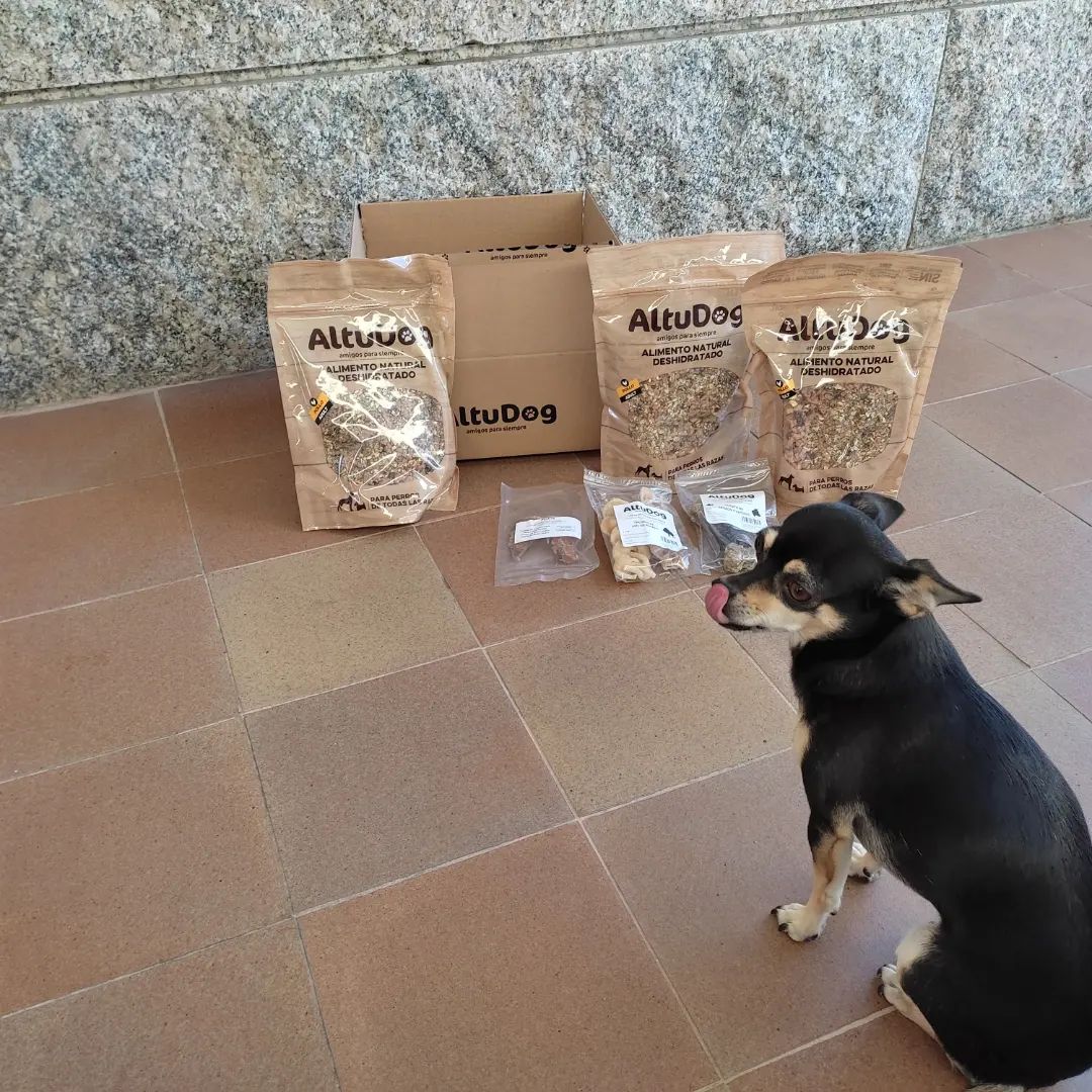 Altudog's tweet image. Luna (@luna_chihuahua_03) 🐶se relame😋 en cuanto ve que llega el pedido de AltuDog a casa, a ella le encanta el menú de pollo🐔, las trenzas de búfalo🐃 y los huesitos de salmón🐠 y vacuno.🐄
.
#AltuDog #alimentonatural #alimentonaturaldeshidratado #comidaparaperros #snacks