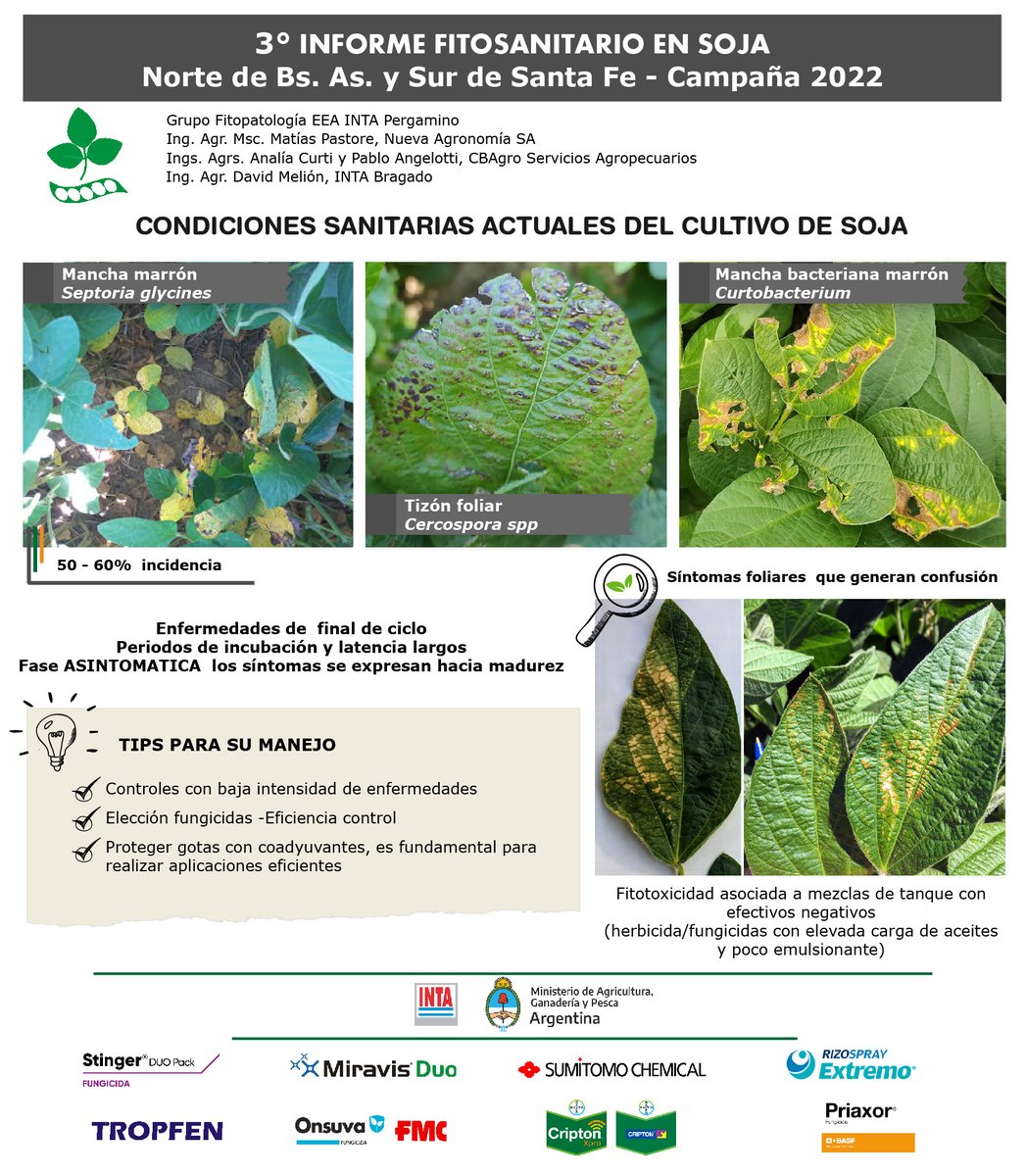 Lucía Hraste 👩🏻‍💻📲💻🐮🌾🌱 tweet media