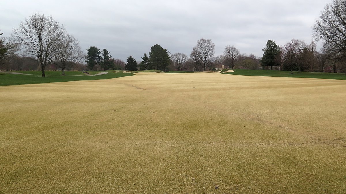 Should golf carts be permitted to drive on dormant turf? Zach Nicoludis explains why policies should be put in place to limit the potential for turf injury during the offseason👉bit.ly/37lEwHL