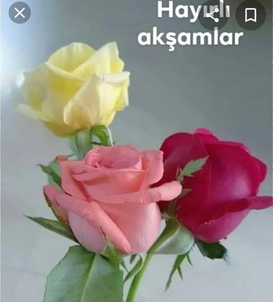 @ruhenbahar @d_cakaroglu @hassa61 @aliburak004 @gncnrllh @cumaotur14 @sabrigunes001 @eminecelik62 @Meryem_mrymmm