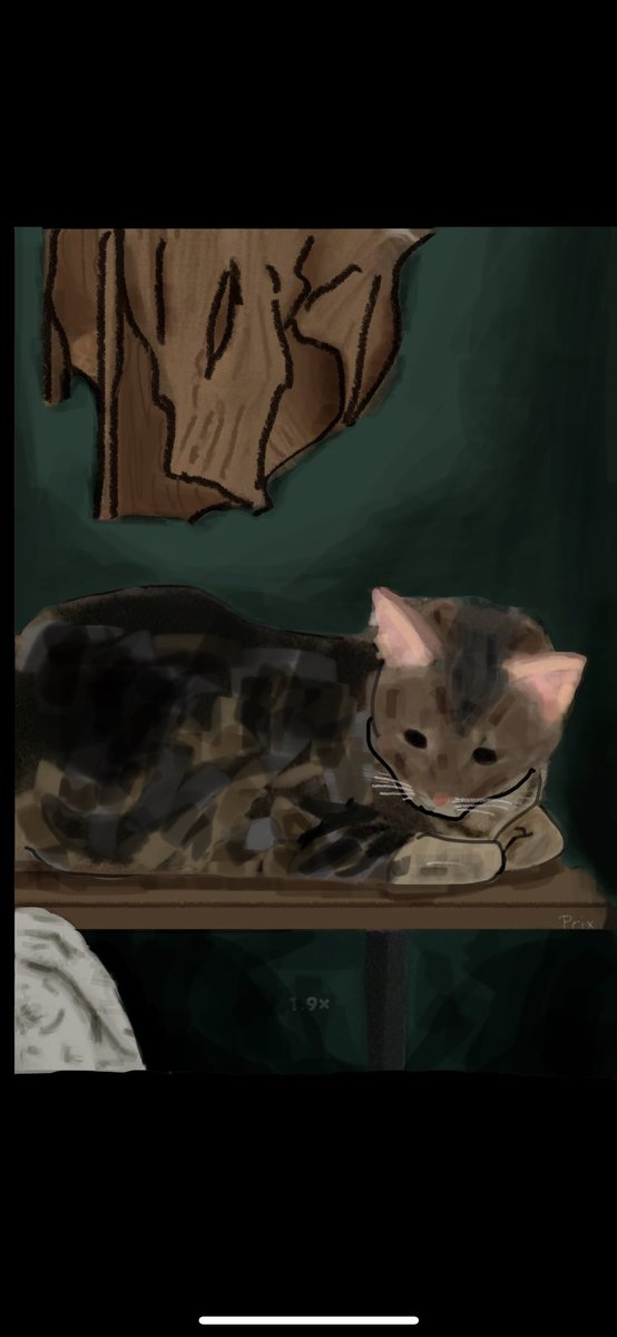 prixlessme's tweet photo. it’s shit i know i did this on my phone edit/mark thing please have mercy thanks ok bye https://t.co/WAgUpmk3oz