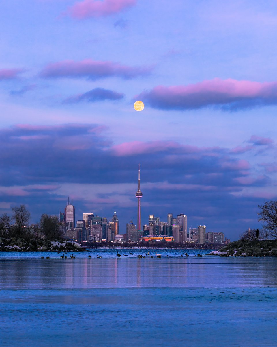 ThisIsAflah's tweet photo. Yesterday full snow moonrise over the city of Toronto ! #Toronto #SnowMoon #NFT #NFTCommmunity #nftart #photography #photooftheday #photographer #photo https://t.co/VxmK11LQHF