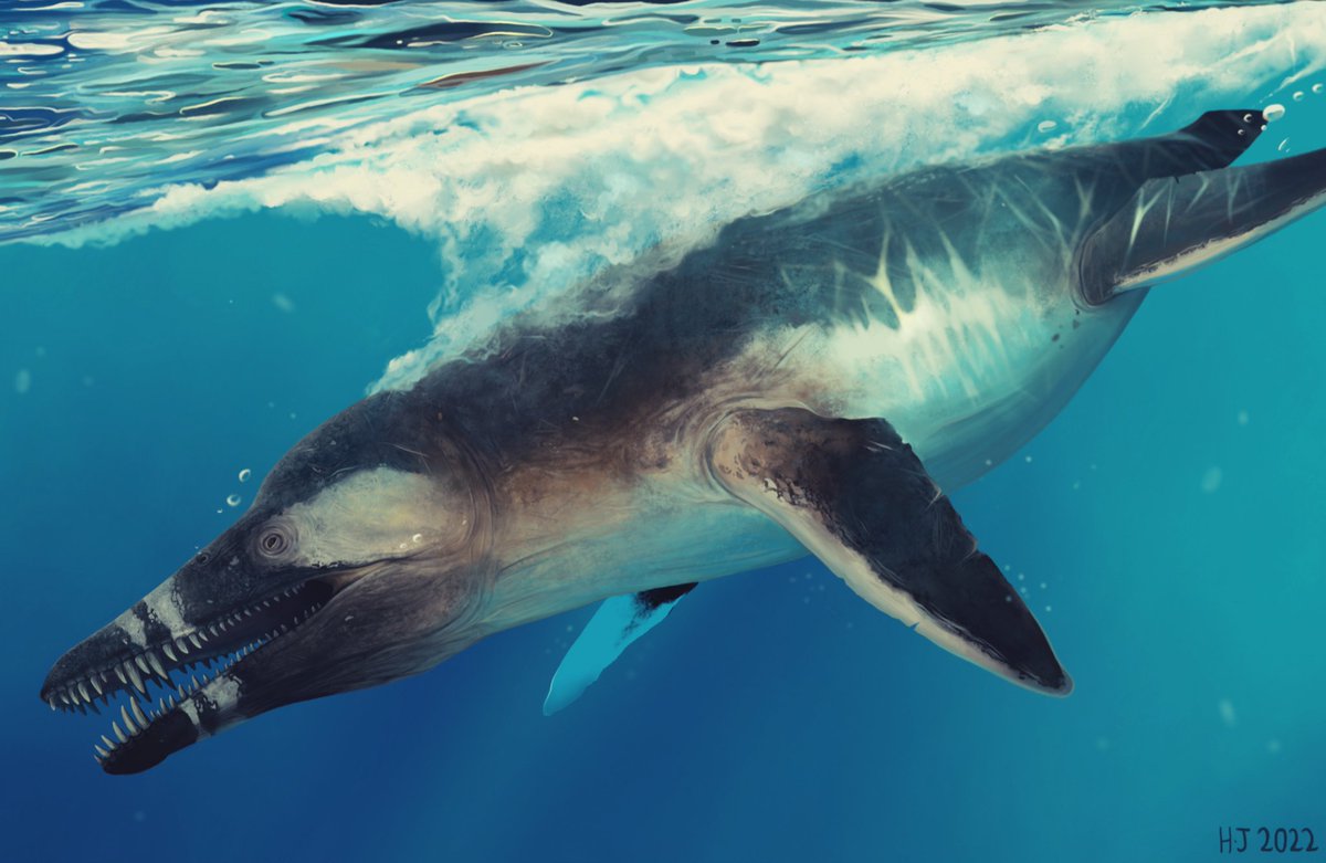 HJ_arts02's tweet photo. @AGamingBeaver Hello, my name is Haider and I will be happy to do commission pieces for you! 
Here is some of my paleoart! https://t.co/D6mx5S4NTW