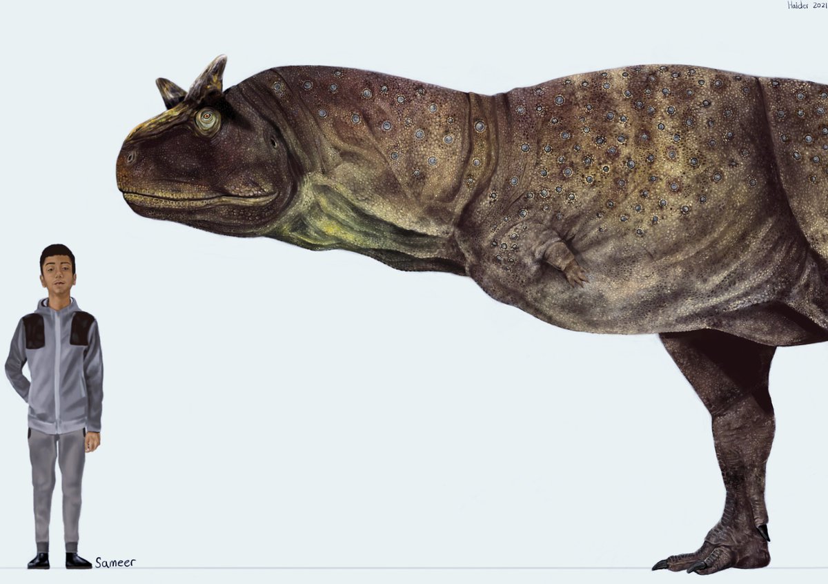 HJ_arts02's tweet photo. @AGamingBeaver Hello, my name is Haider and I will be happy to do commission pieces for you! 
Here is some of my paleoart! https://t.co/D6mx5S4NTW