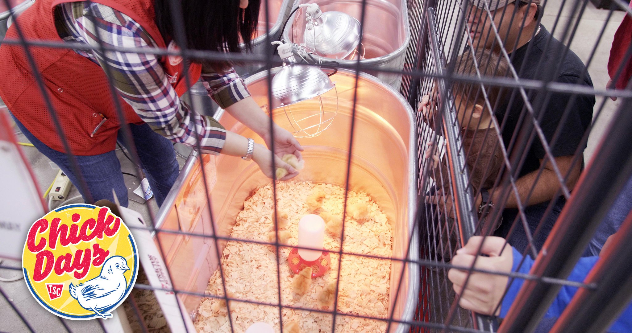 Tractor Supply on Twitter "Spring Chick Days is just around the corner