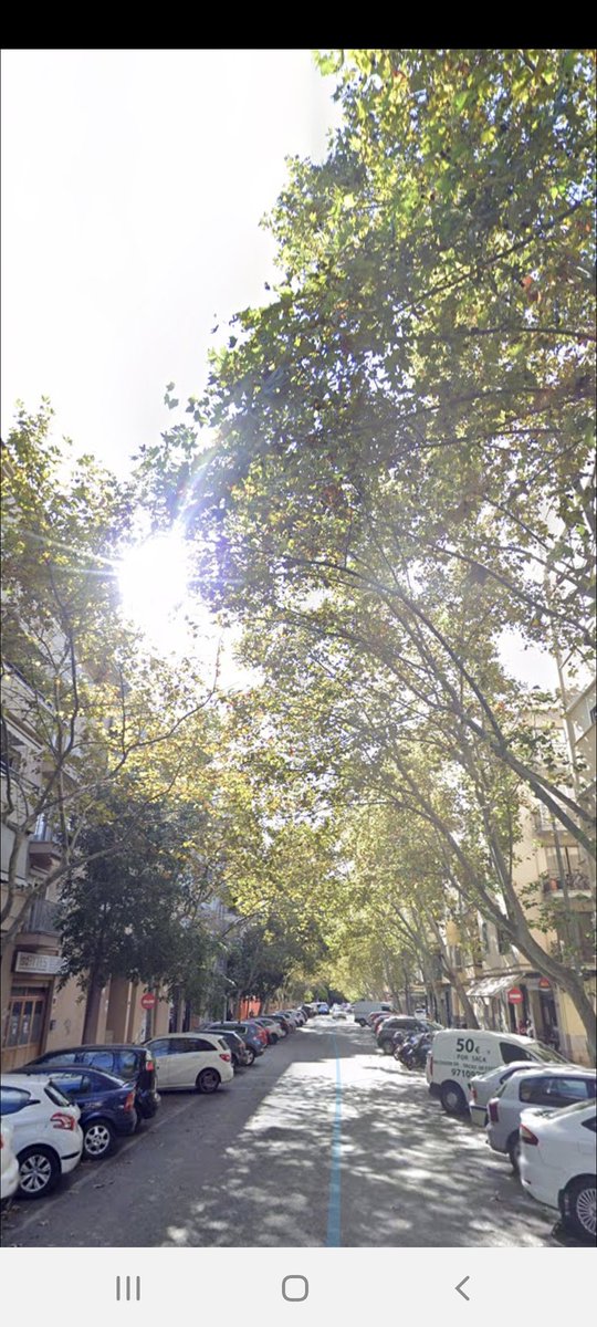 🗣👥 S'ha encetat un proces participatiu  per l'Ajuntament de Palma

✅ Definir entre tots i totes com volem que sigui el futur Eix civic de Cotlliure.

 +ℹ  i  enllaç per emplenar  enquesta👇

app.im3solutions.com/fmi/webd/Eixde…

#SantaPagesaEsMou per a la millora del barri