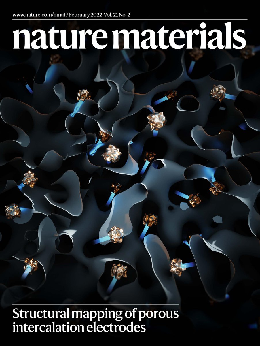 Our February issue is out! We feature a porous intercalation electrode and a Review on cancer organoids, also highlight research on transverse thermoelectrics,  alloy screening, and disordered nanowire memristors.

go.nature.com/368EqVK