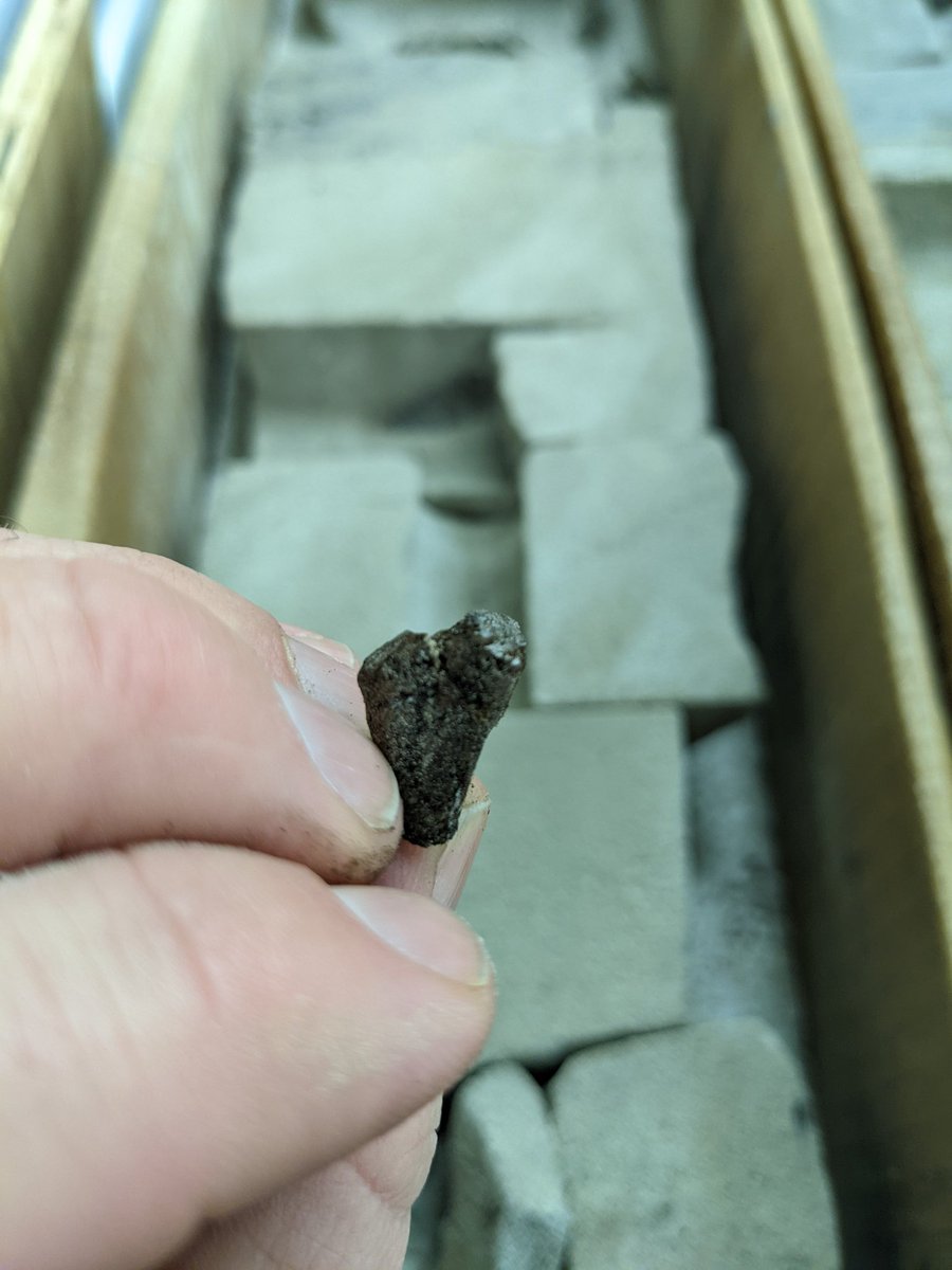 DLowe_Geo's tweet photo. Looking at core today and found a baby Jurassic stick https://t.co/pPjxHQW9DV