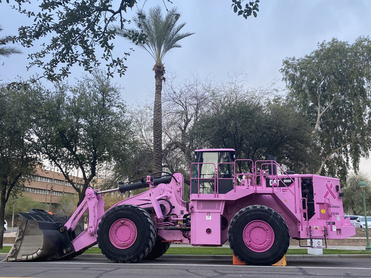 Colleen Coyle Mathis tweet media