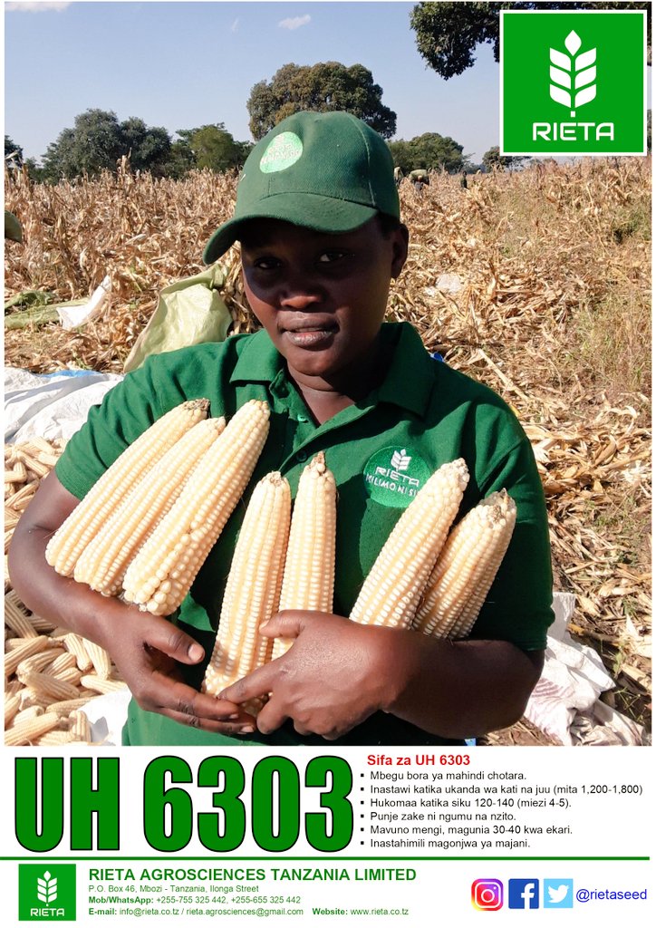 Rieta Seed Tanzania tweet media