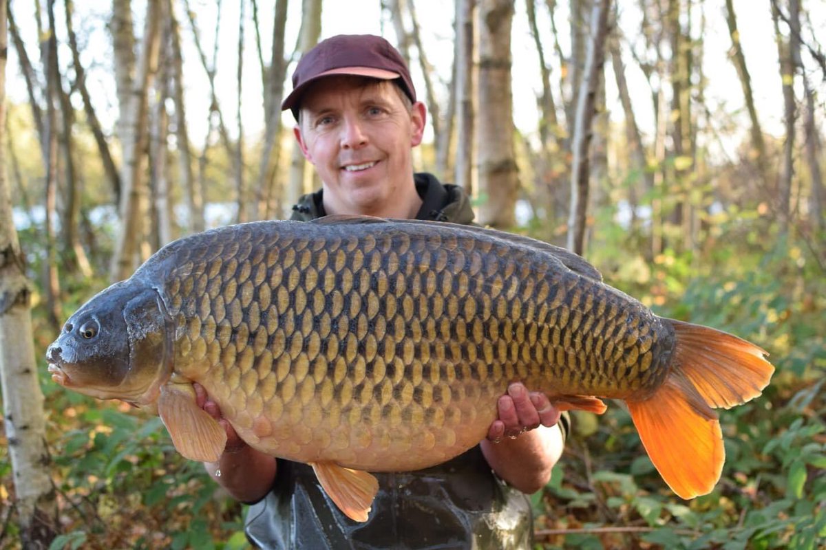 RGBaitsUK's tweet photo. Another chunky 30+ for Andrew Batty. Keeping the baits going in on his spots kept the fish feeding through the colder months! 

A mixture of 18mm &amp; 22mm ‘Prime’ boilie with three hinge stiff presentations comprising of 15mm ‘Prime’ popups was the way forward for Batty

#RGBaits🇬🇧 https://t.co/gez96Dsx7A