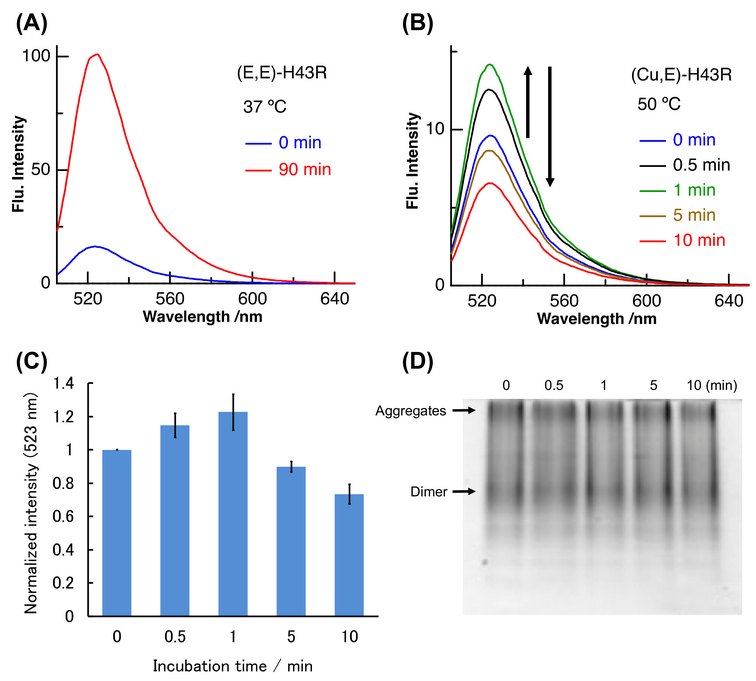 Molecules_MDPI's tweet photo. #RecommendedPaper #InterestingPaper
Pro-Oxidant Activity of an ALS-Linked SOD1 Mutant in Zn-Deficient Form
By: Takakazu Nakabayashi, et al.
👉https://t.co/zhzPFdFYKA
📌#SOD1 #ALS #cytotoxicity #prooxidant #copper #zinc https://t.co/6DPrxtHmf0