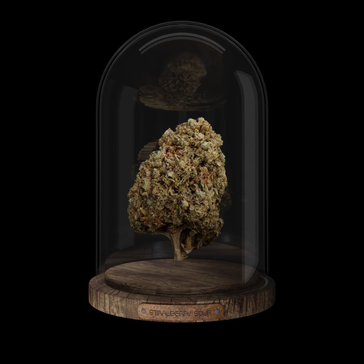 Kool Buds | P2E tweet media