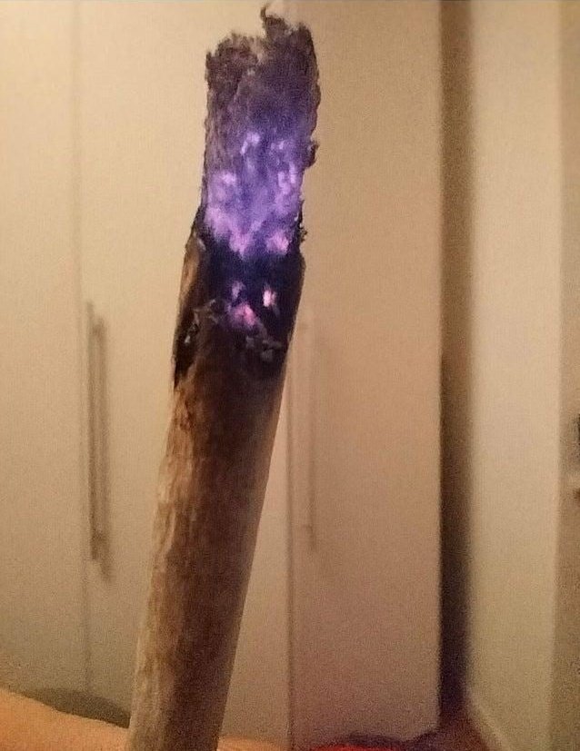PresidentToguro's tweet image. Weed so purple it look like a wizard cast dark magic to light it up
